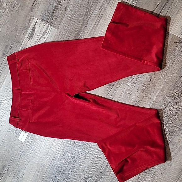 Maison d' Amelie Red Velvet Pants - Picture 7 of 10
